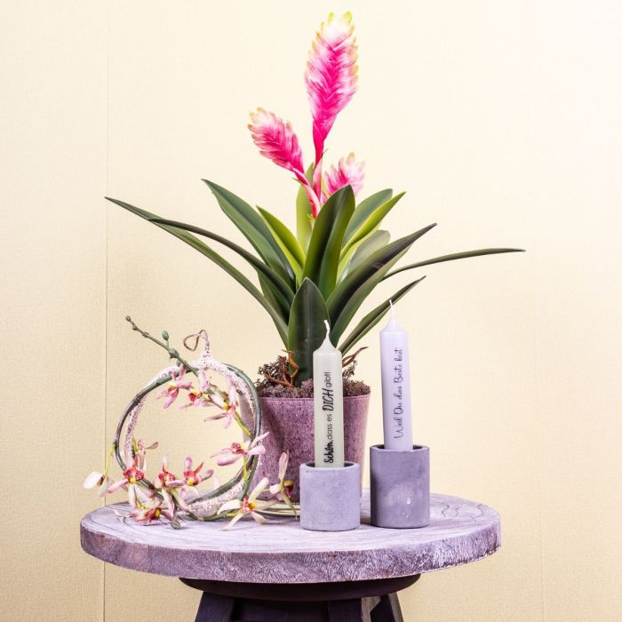 Je suis content que tu sois l&agrave; !