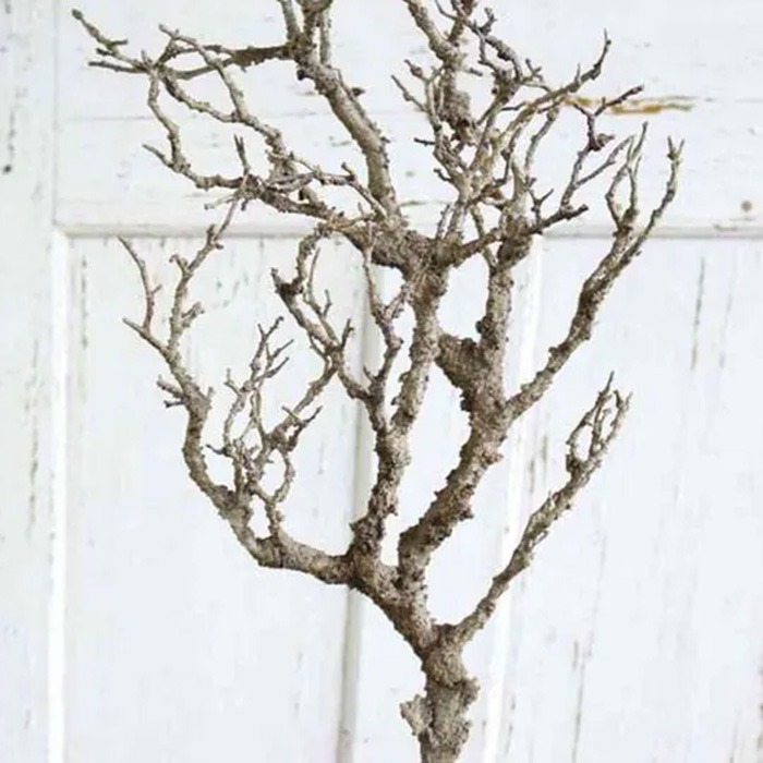 Branches d'arbre