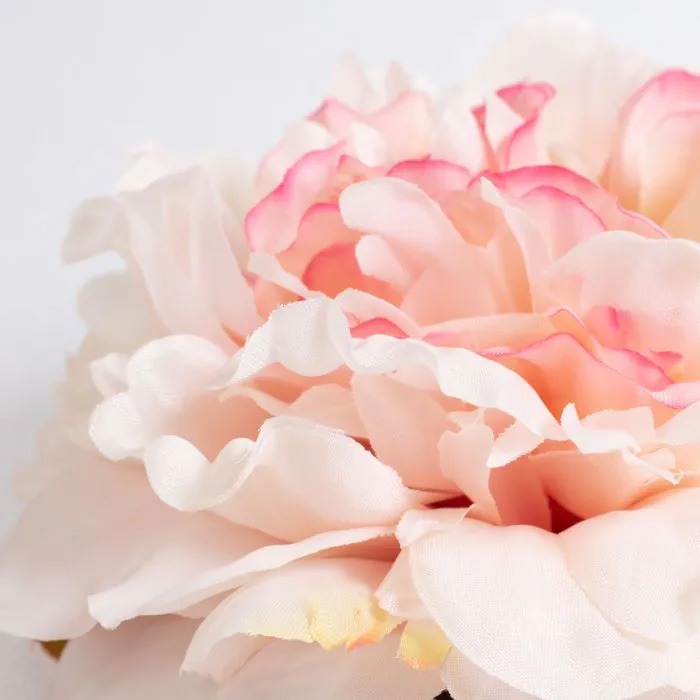 Têtes de fleurs florales