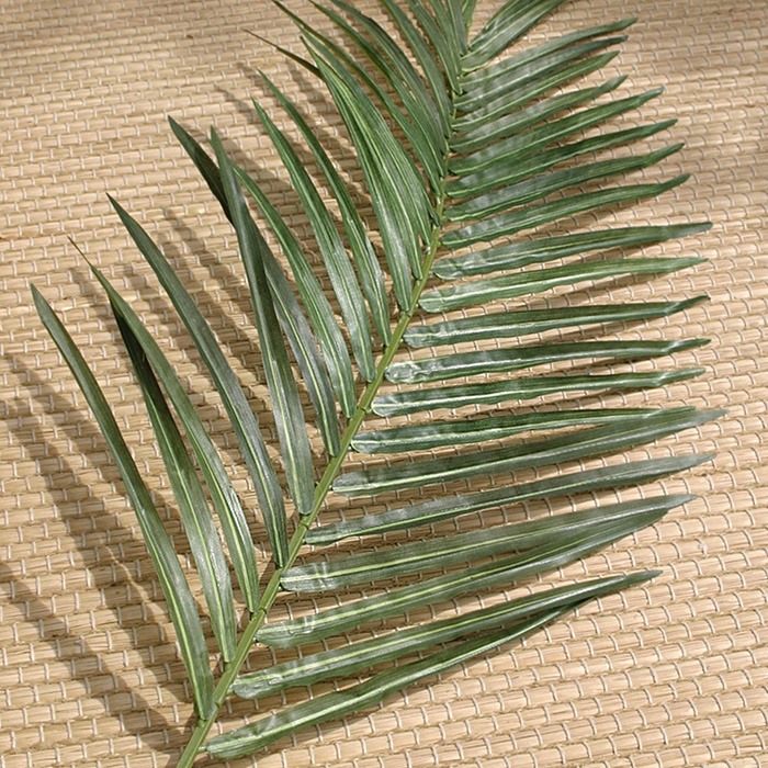 Feuilles de palmier
