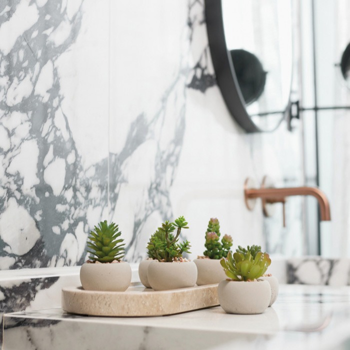 Succulentes