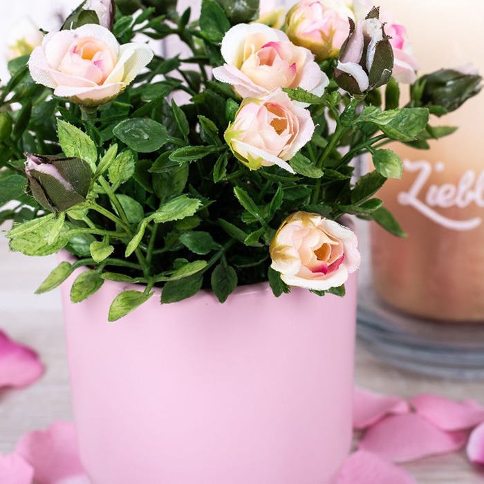 Roses en pot