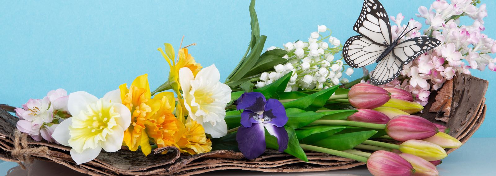 toutes les fleurs de printemps