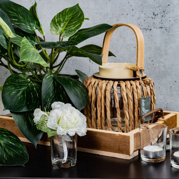 Sentiment de la jungle