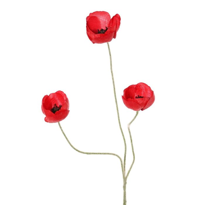 Coquelicot
