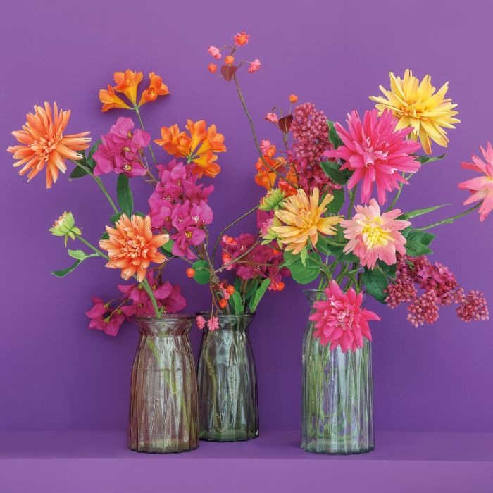 Embrassé par le soleil et amoureux des couleurs