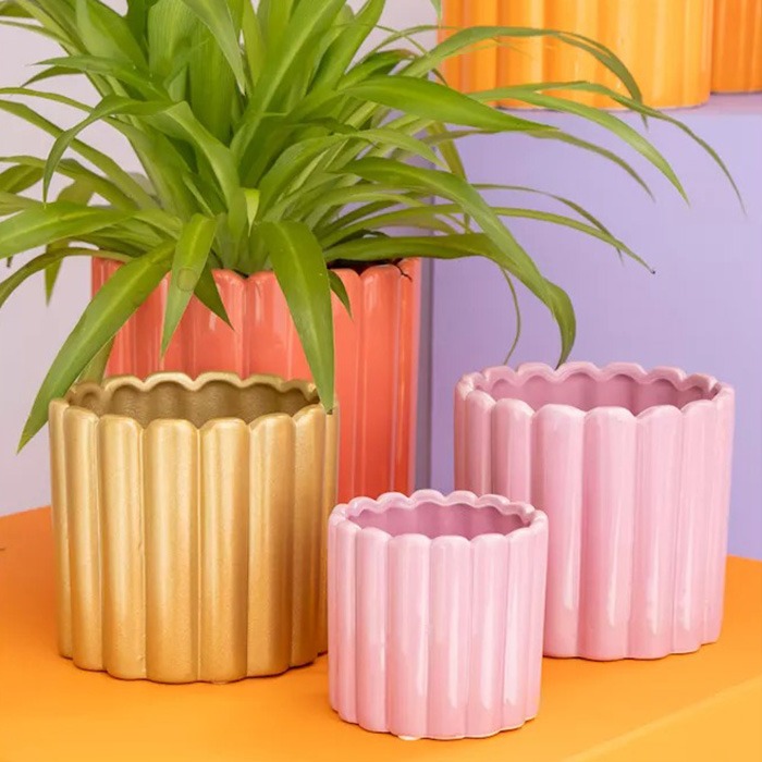 Pots de fleurs estivaux