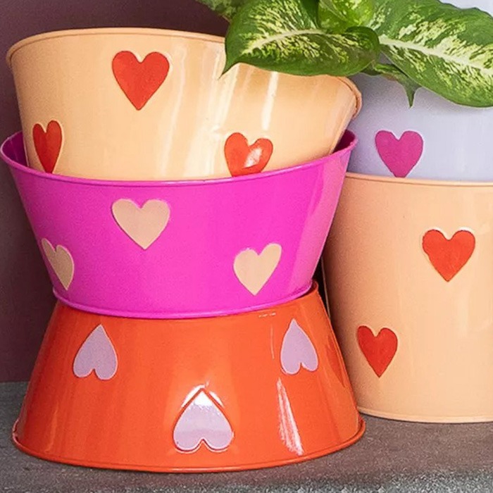 Bols, plats, assiettes