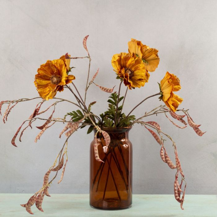 Automne doré - Série 1